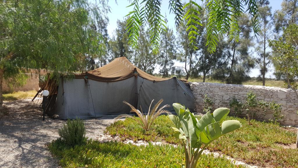 مبيت وإفطار الصويرة Douar Noujoum المظهر الخارجي الصورة